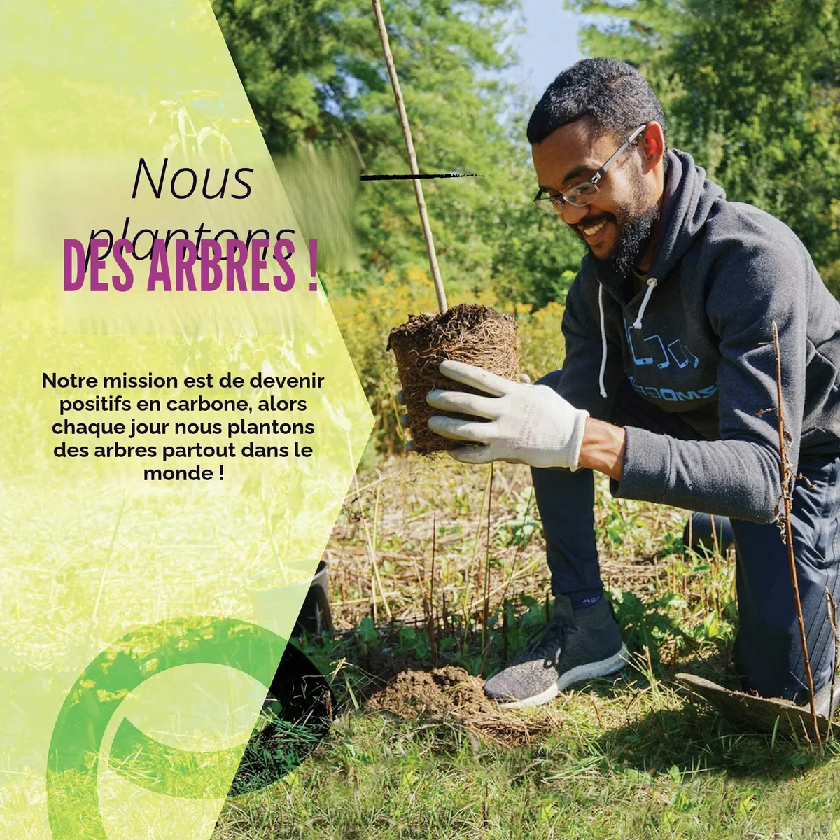 EcoSlurps 600 Cotons-tiges en bambou - biodégradable qips, swabs & tampons de coton (600, White)