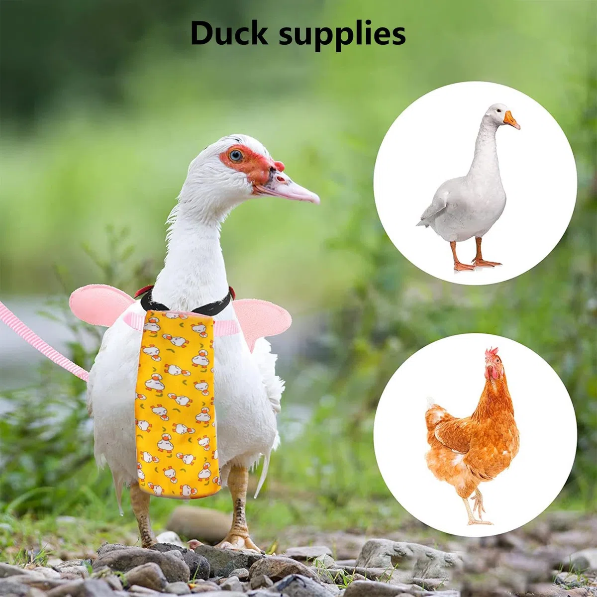 Couches De Canard, Tissu en Coton Respirant | Paquet De 3 Vêtements Réutilisables Et Lavables pour Animaux De Compagnie, Cette Couche Réglable Anti-Fuite pour Poule Empêche Les Taches D'urine sur Les