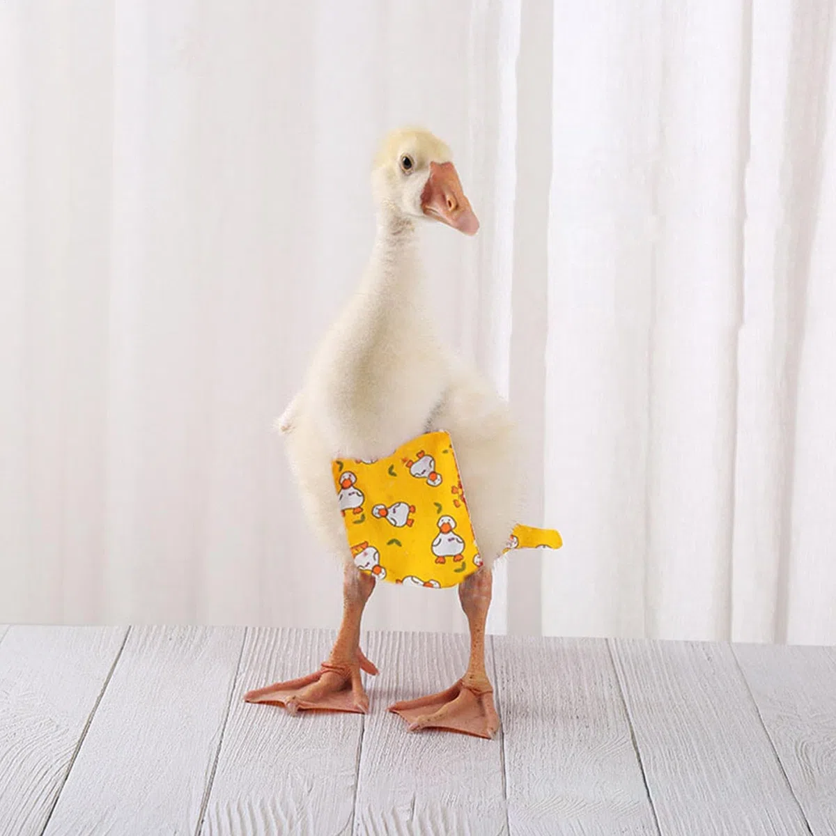 Couches De Canard, Tissu en Coton Respirant | Paquet De 3 Vêtements Réutilisables Et Lavables pour Animaux De Compagnie, Cette Couche Réglable Anti-Fuite pour Poule Empêche Les Taches D'urine sur Les